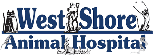 West Shore Animal Hospital